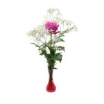 Single Pink Rose With Vase (Fresh Cut Flowers)