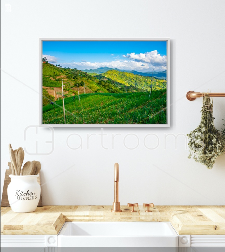 Paramin Chive Fields