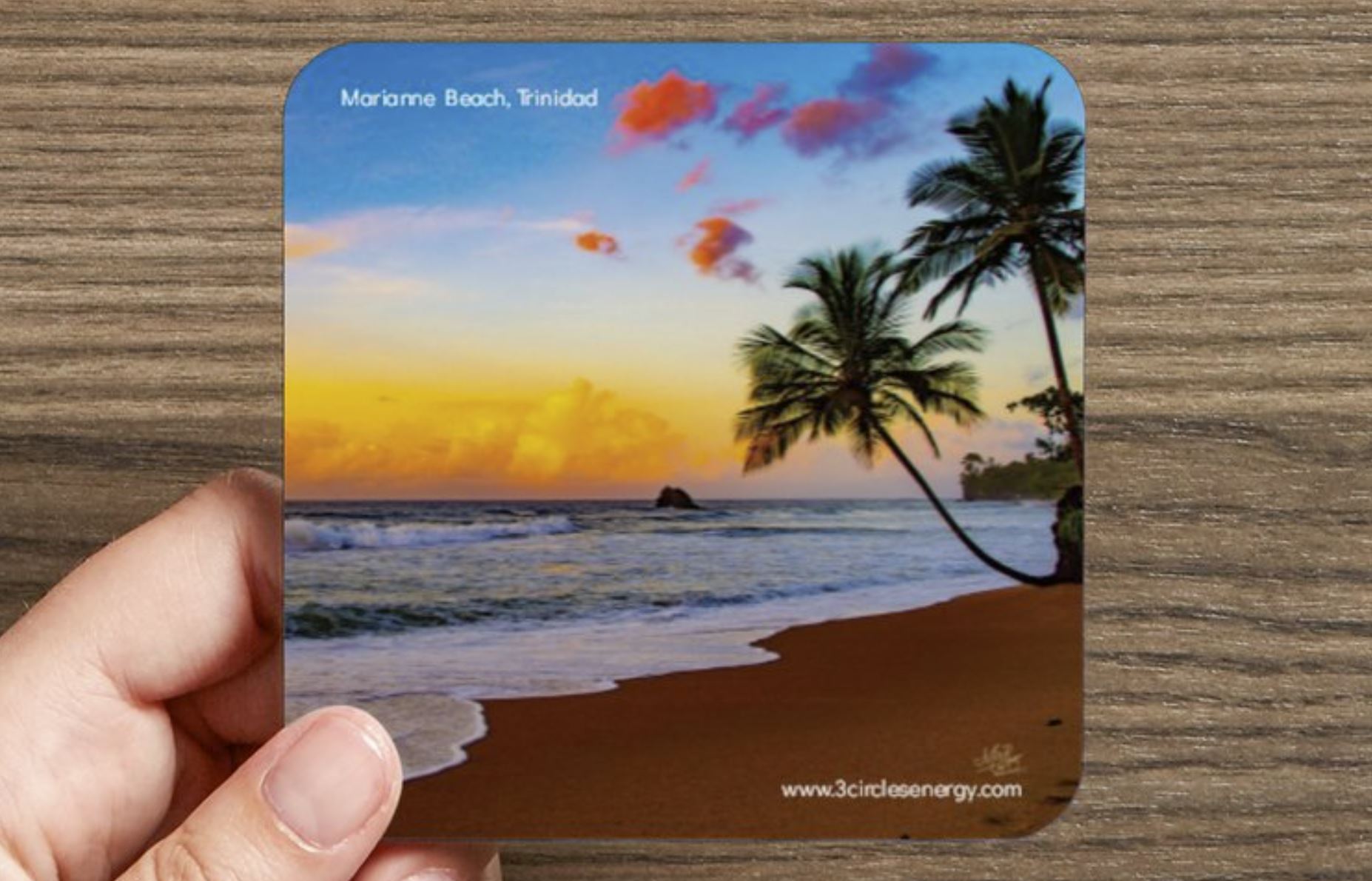 MariBeachCoasterVP