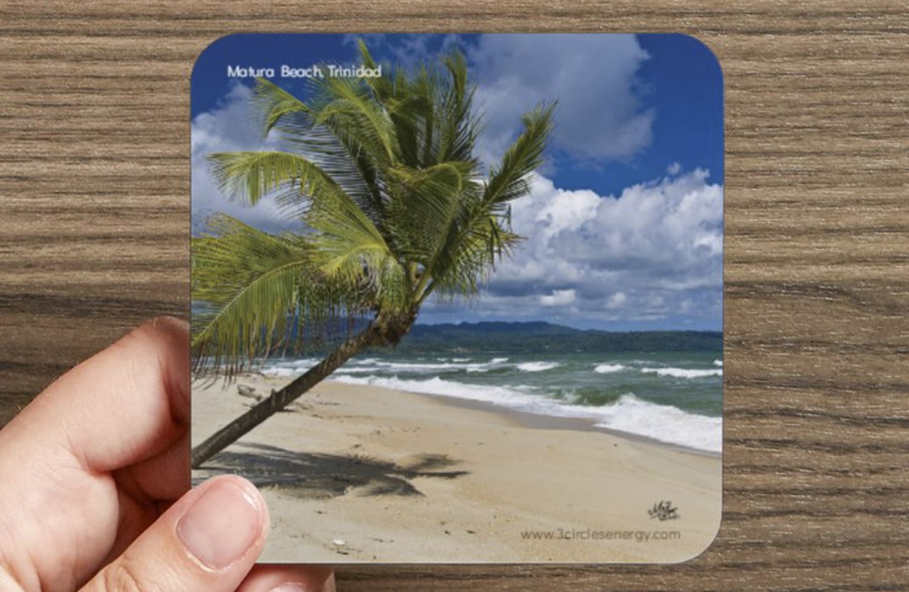 MaturaBeach2013CoasterVP