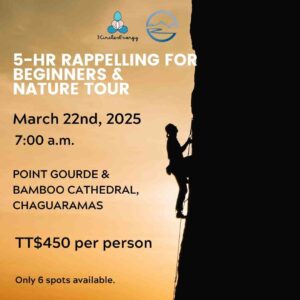 3 Circles Energy CoolBlue Evolution Rappelling Tour