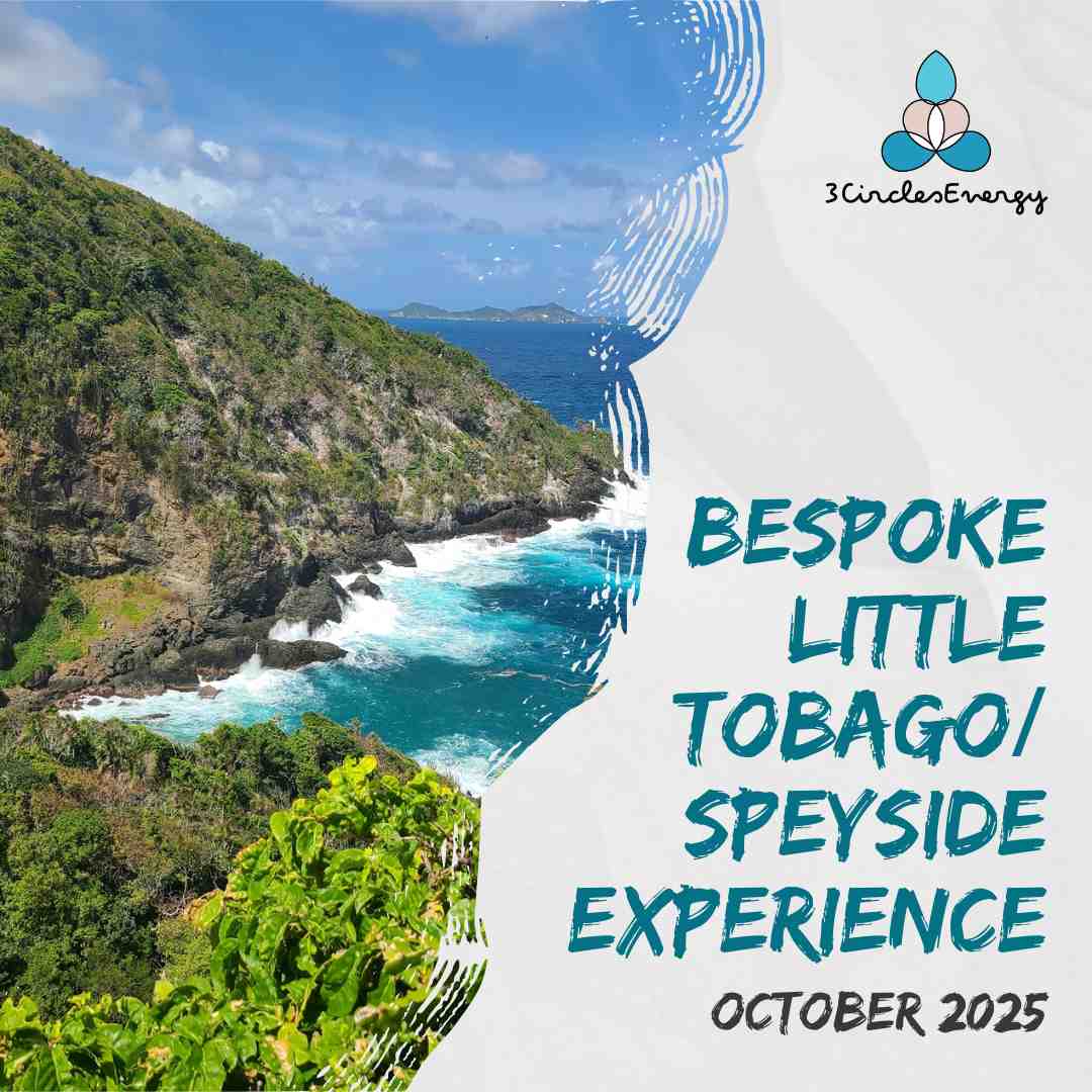 3 Circles Energy Bespoke Little Tobago/Speyside Immersive Experience