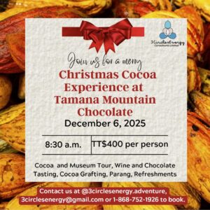 3 Circles Energy "Tamana Mountain Chocolate Christmas" Tour