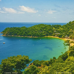 3 Circles Energy Bespoke Island Circle Experience