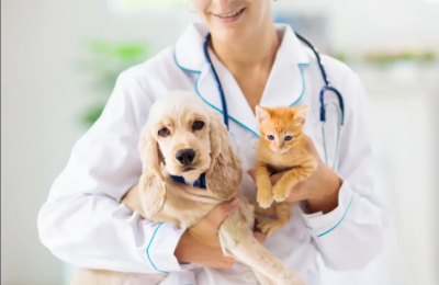 Pet-Services.png