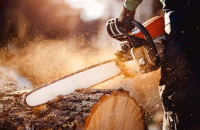 Tree-Cutting.jpg